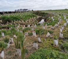 2021 ES West Coast 08 Noho Marae Arahura Restoration plantings