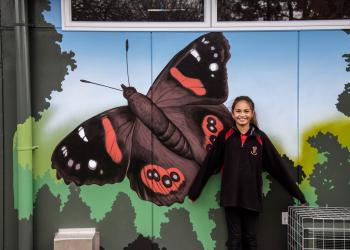 2019 Enviroschools Butterfly